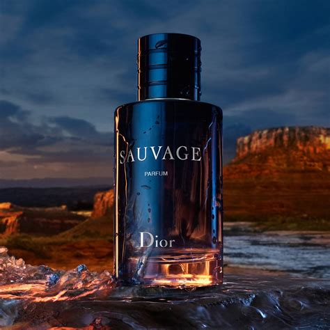 sauvage dior cologne parfum|Dior Sauvage cheapest price 100ml.